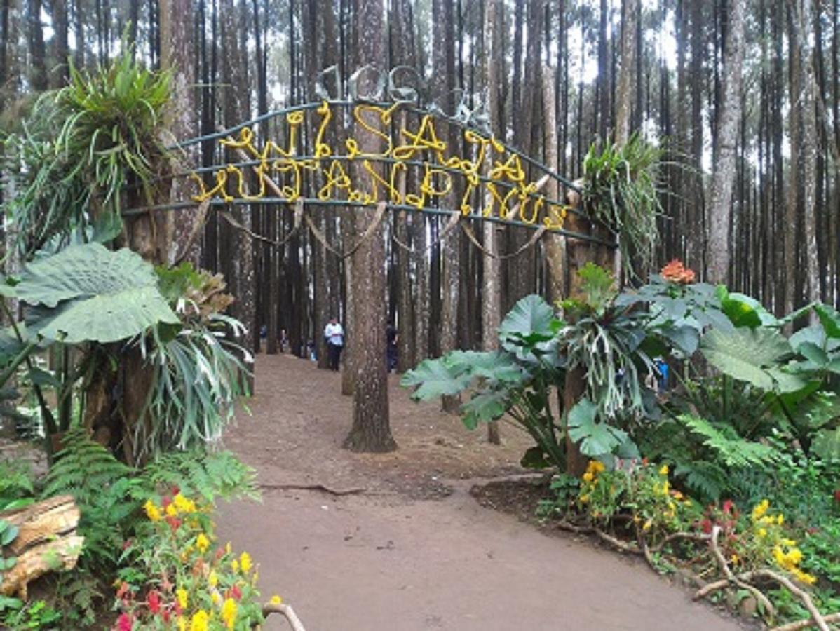 La Javanaise Home Stay Malioboro 요그야카르타 외부 사진